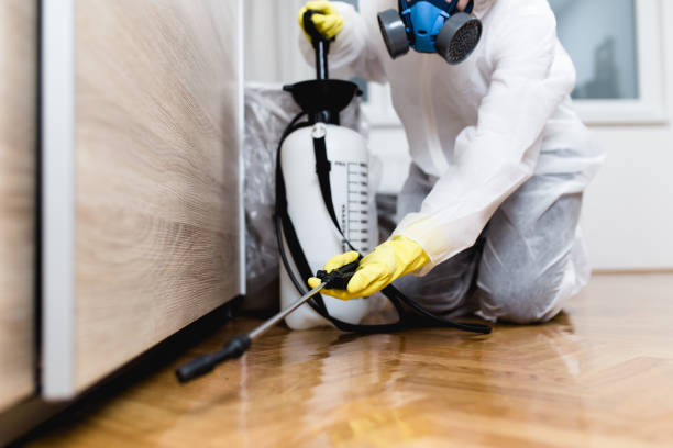 Best Wasp Removal Services  in North Utica, IL