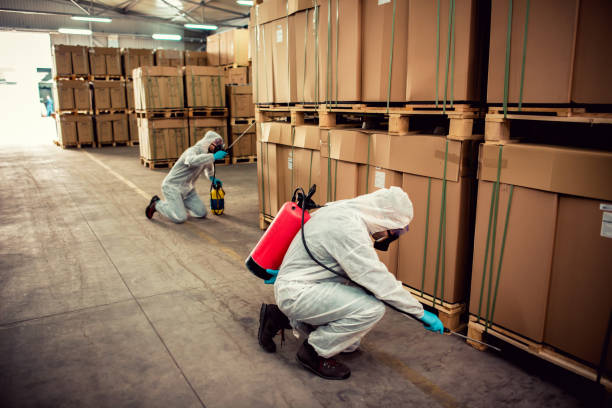 Best Emergency Pest Control  in North Utica, IL