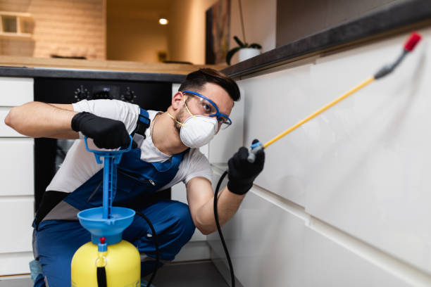 Best Wasp Removal Services  in North Utica, IL
