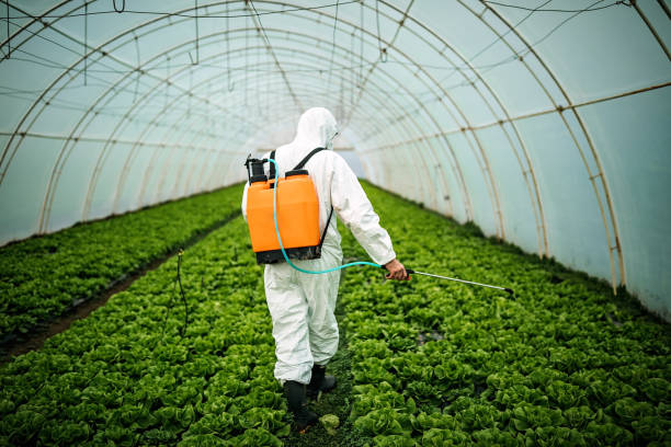 Best Best Pest Control Companies  in North Utica, IL
