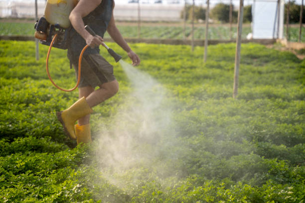 Best Pest Inspection Near Me  in North Utica, IL