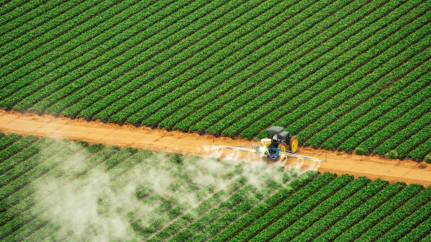 Best Pest Removal Services  in North Utica, IL