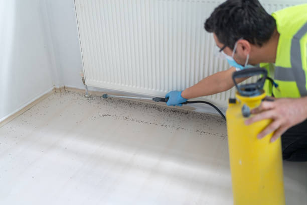 Best Pest Inspection Near Me  in North Utica, IL